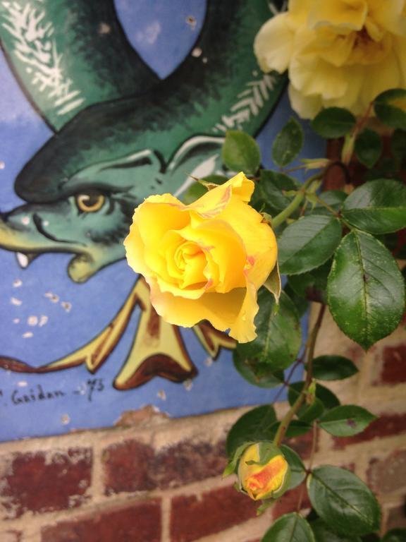 Le Temps D'Un Reve Bed & Breakfast Ravenel Bagian luar foto